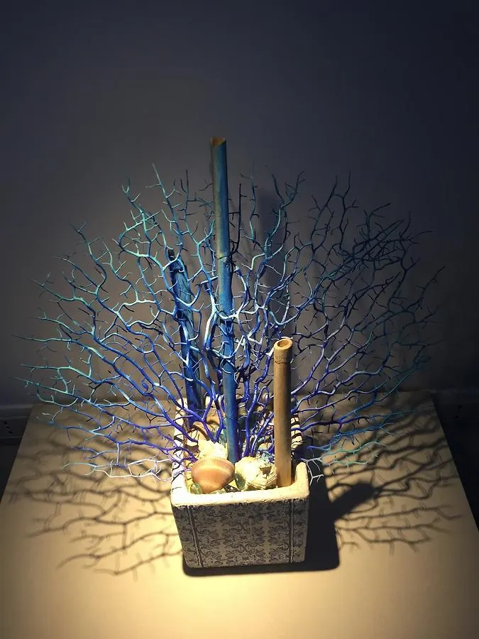 卡斯泰拉马莱Le Nereidi住宿加早餐旅馆 0*, 卡斯泰拉马莱 意大利